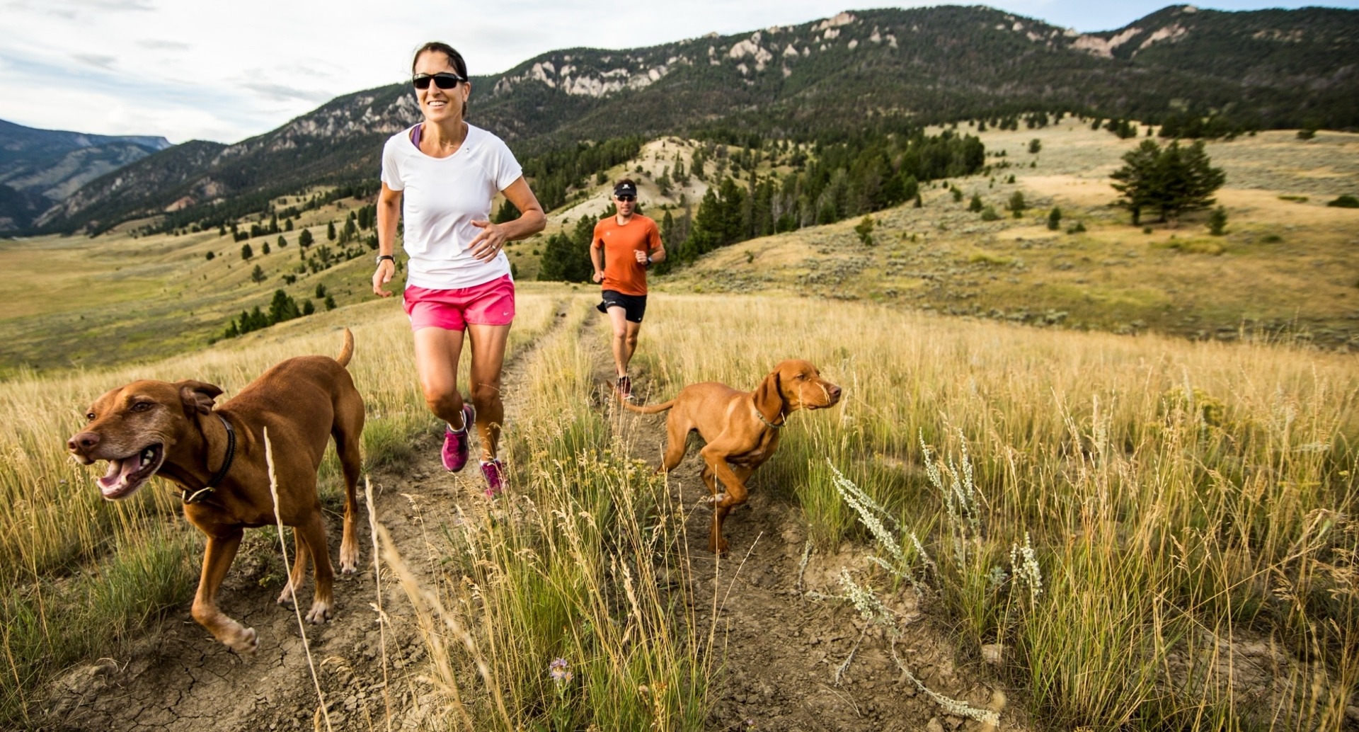 people jogging on a trail with dogs